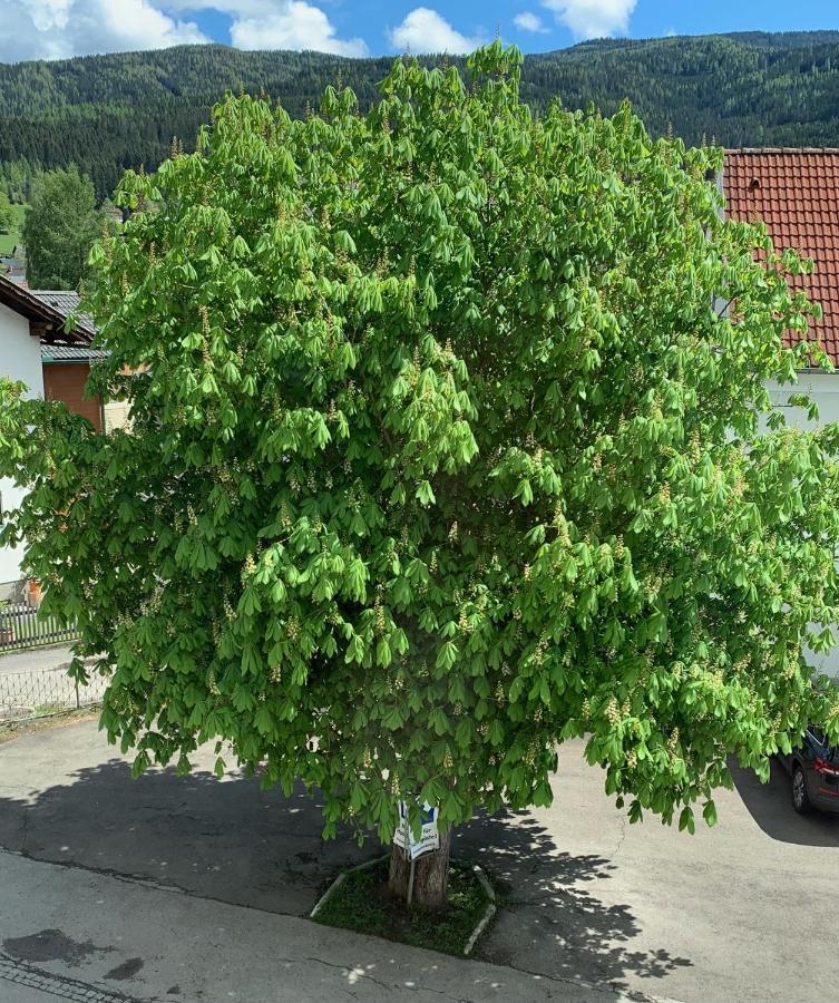 Landgasthof Zur Post Hotel Mitterdorf im Murztal Bagian luar foto