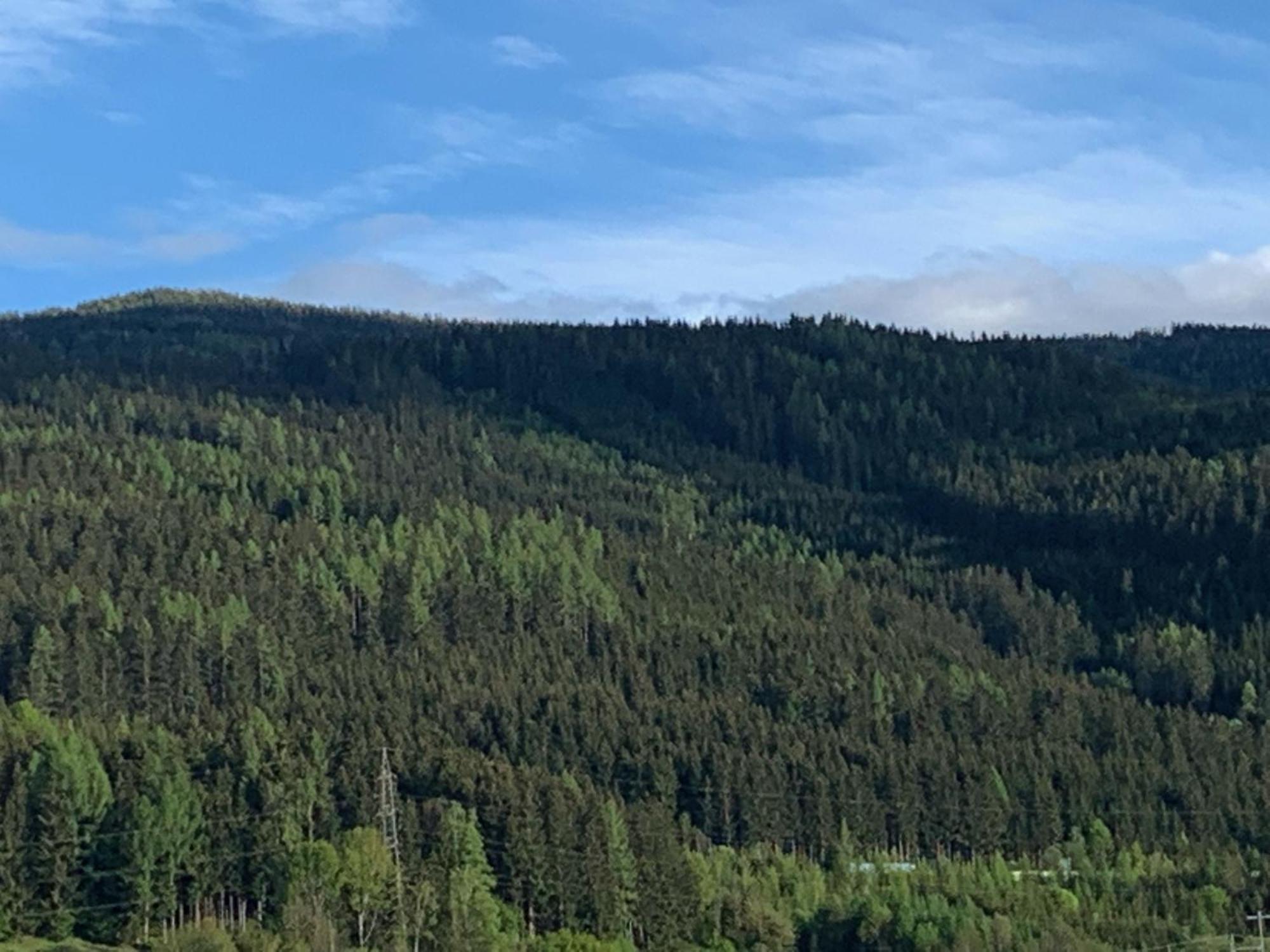 Landgasthof Zur Post Mitterdorf im Murztal Ruang foto